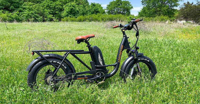 Electric Bike Addmotor Garootan Grass