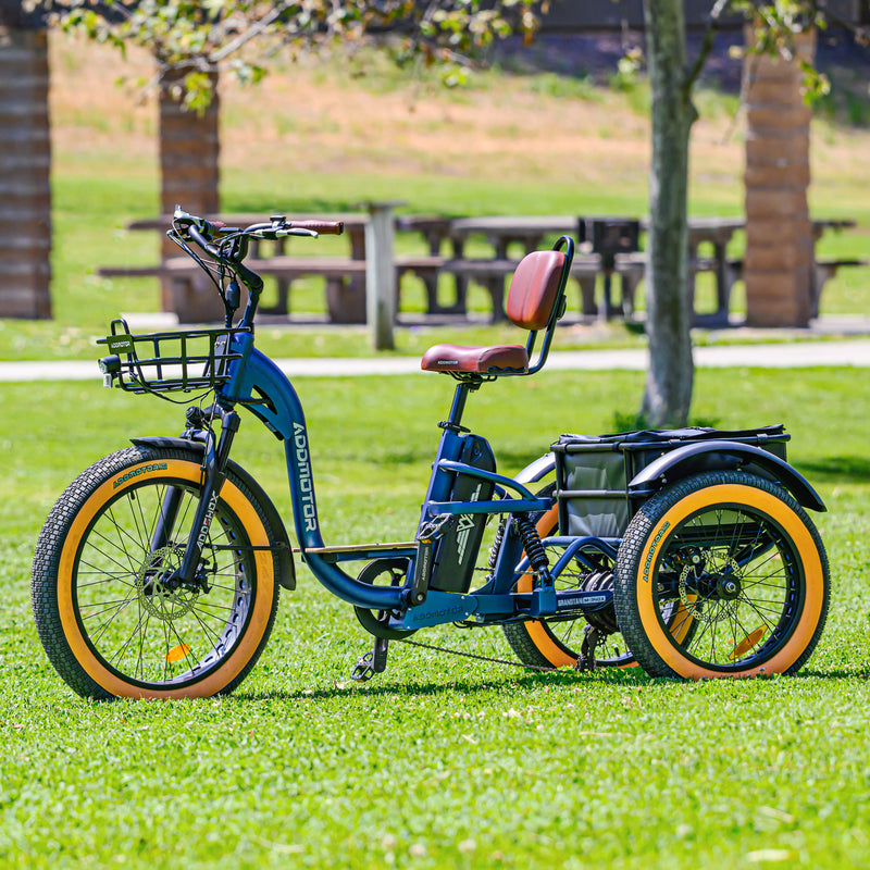 Electric Bike Addmotor GrandtanX Park