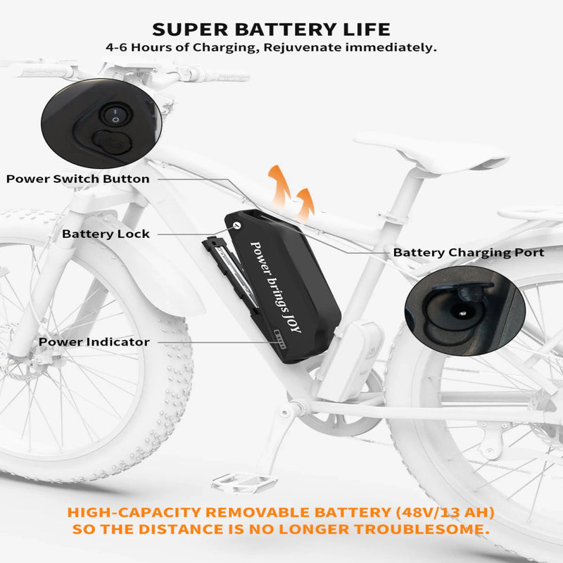 Electric Bike Aostirmotor Hero Charge