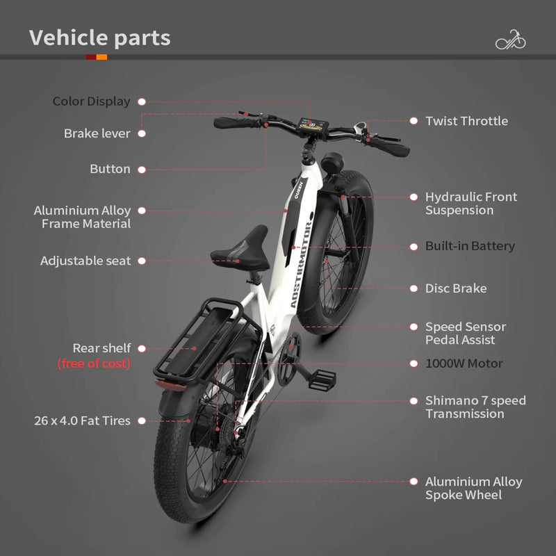 Electric Bike Aostirmotor Queen Parts