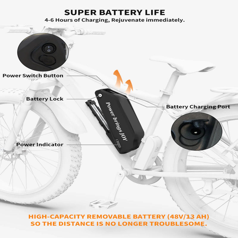 Electric Bike Aostirmotor Storm Charge