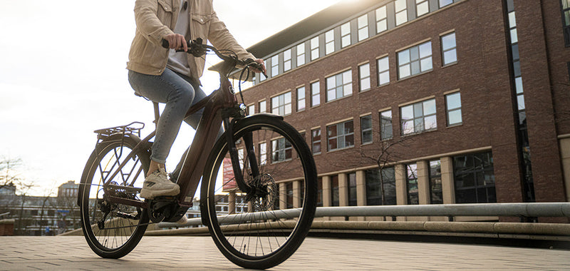 Electric Bike BESV TRLE School