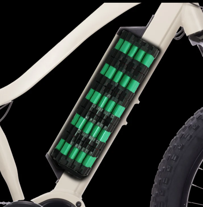 Electric Bike Bakcou Kodiak Battery