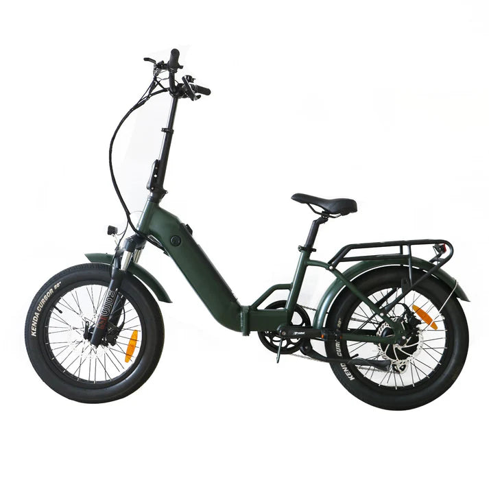 Electric Bike Coastal Cruiser BB-20x3 Green Left