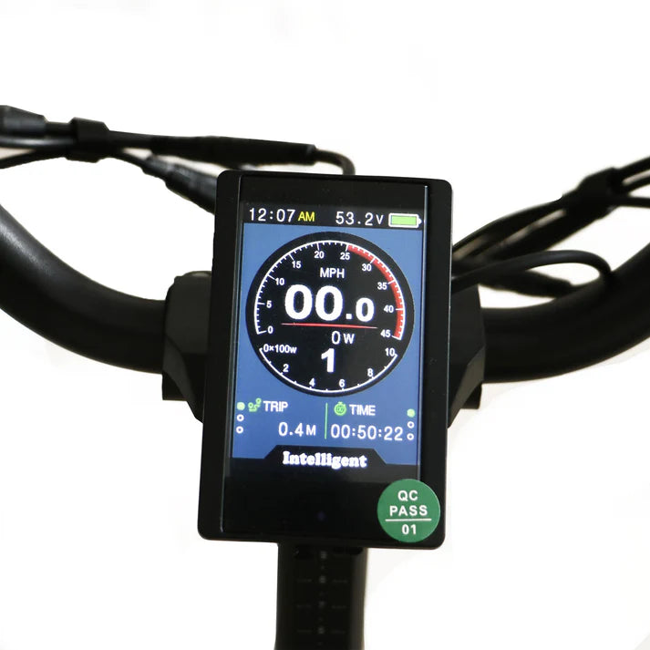 Electric Bike Coastal Cruiser BB-20x3 LCD