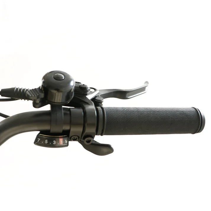 Electric Bike Coastal Cruiser BB-20x3 Throttle