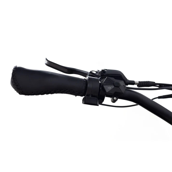 Electric Bike Coastal Cruiser BB-CMO Throttle