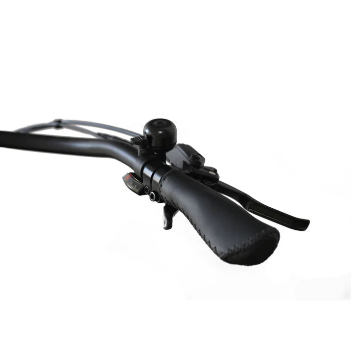 Electric Bike Coastal Cruiser BB-CMT Throttle