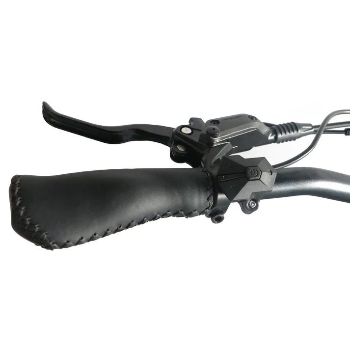 Electric Bike Coastal Cruiser Mini Gear