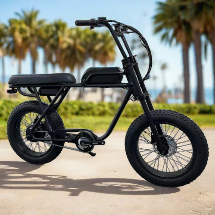 Electric Bike Coastal Cruiser Ripper2 Beach