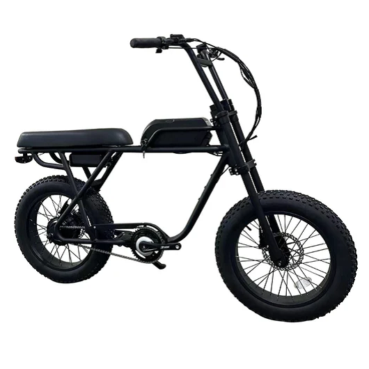 Electric Bike Coastal Cruiser Ripper2 Right