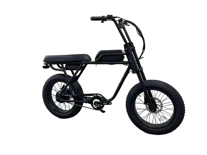 Electric Bike Coastal Cruiser Ripper2 Right