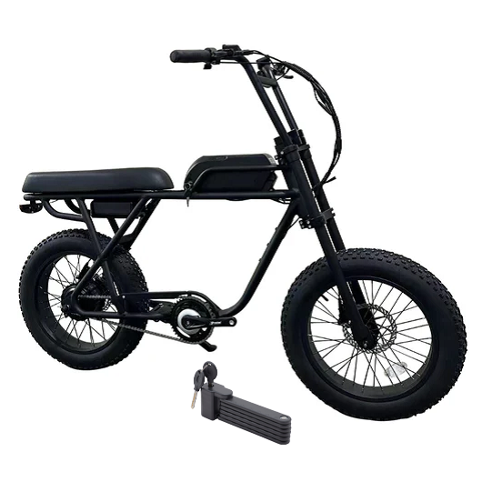 Coastal Cruiser 750W 48V Ripper 2 Moto Style Electric Bike