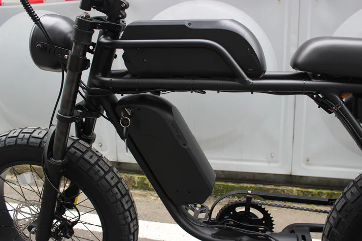 Electric Bike Coastal Cruiser Ripper Pro Battery