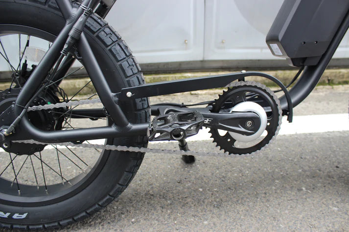 Electric Bike Coastal Cruiser Ripper Pro Crank