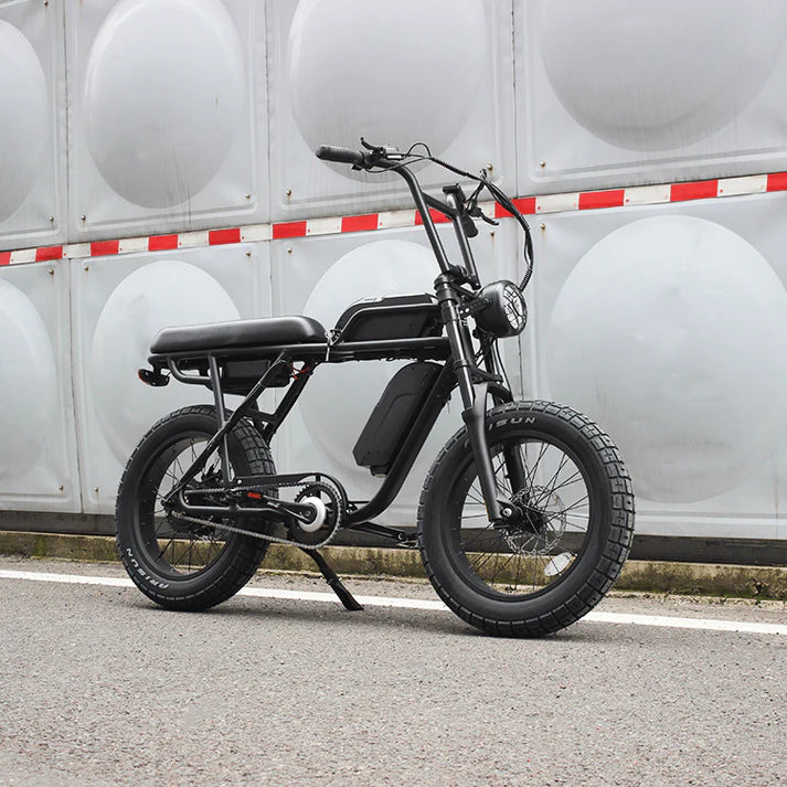 Electric Bike Coastal Cruiser Ripper Pro Right