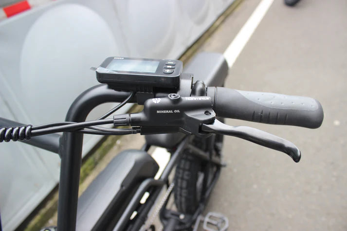 Electric Bike Coastal Cruiser Ripper Pro Throttle