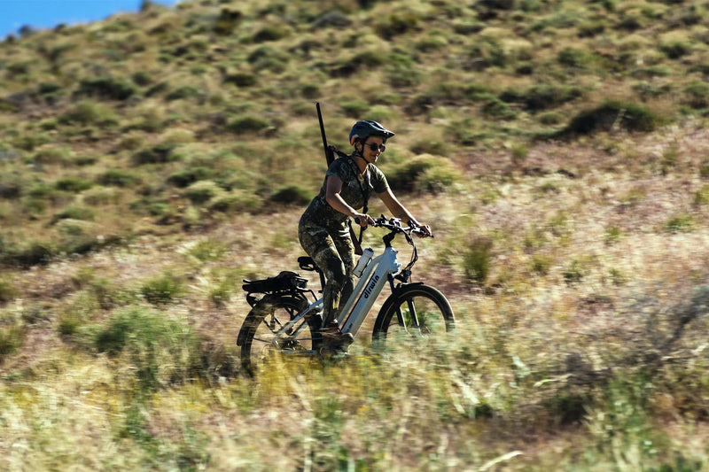 Electric Bike Dirwin Pacer Plus Street Woman Riding Up Hill