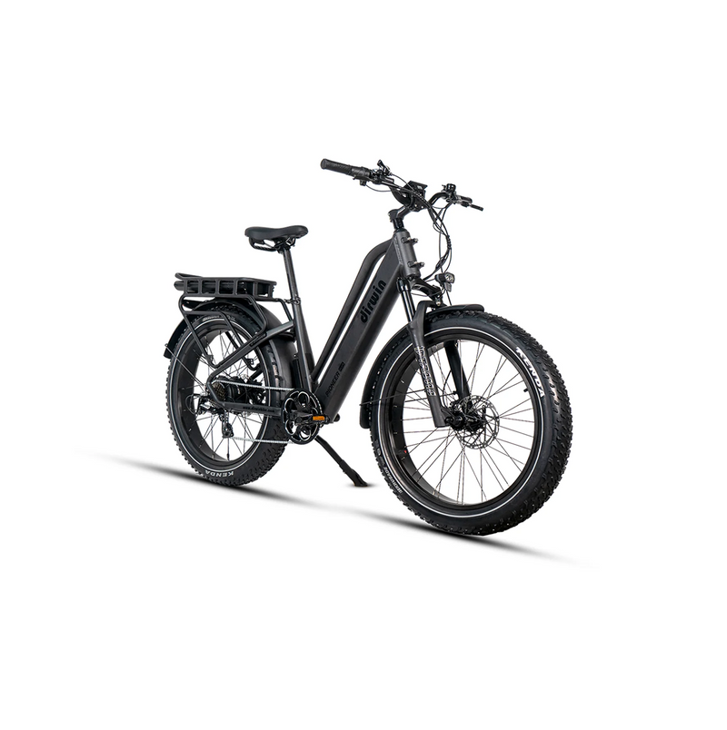 Electric Bike Dirwin Pioneer Plus MatteBlack Right Front