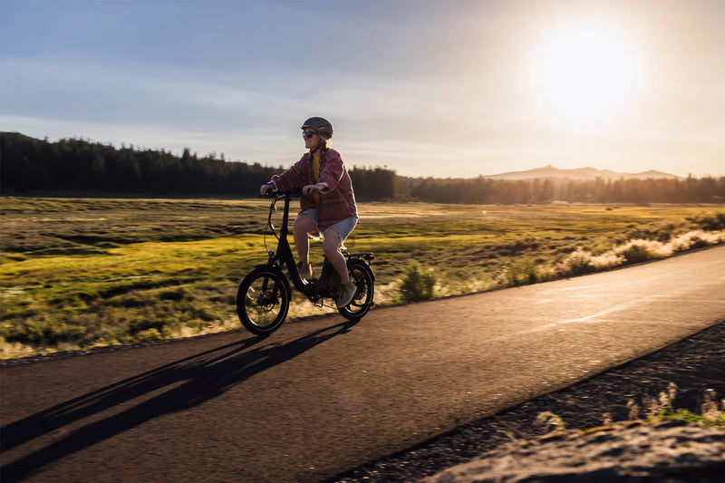 Electric Bike Dirwin Voyager Street