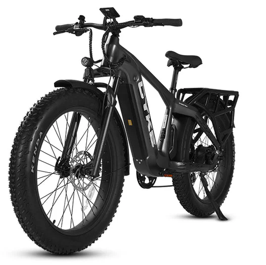 Electric Bike E-Joe Cheetah Grey Left Front