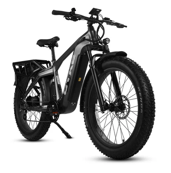 Electric Bike E-Joe Cheetah Grey Right Front