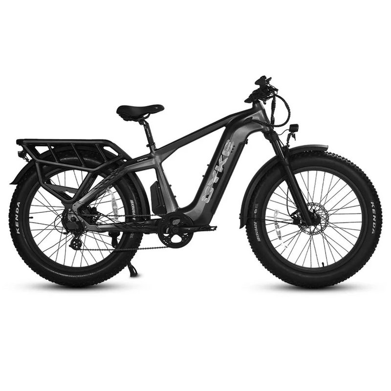 Electric Bike E-Joe Cheetah Grey Right