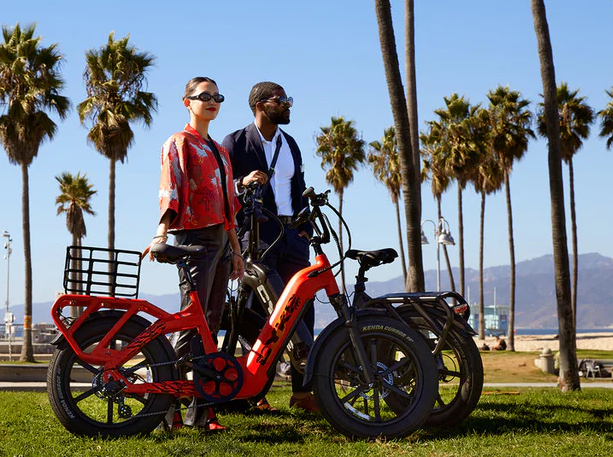 Electric Bike E-Joe Collie Park