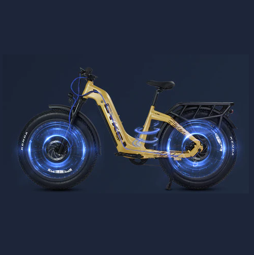 Electric Bike E-Joe Lynx Wheels