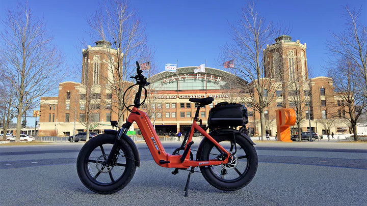 Electric Bike E-Joe E-Flow Street