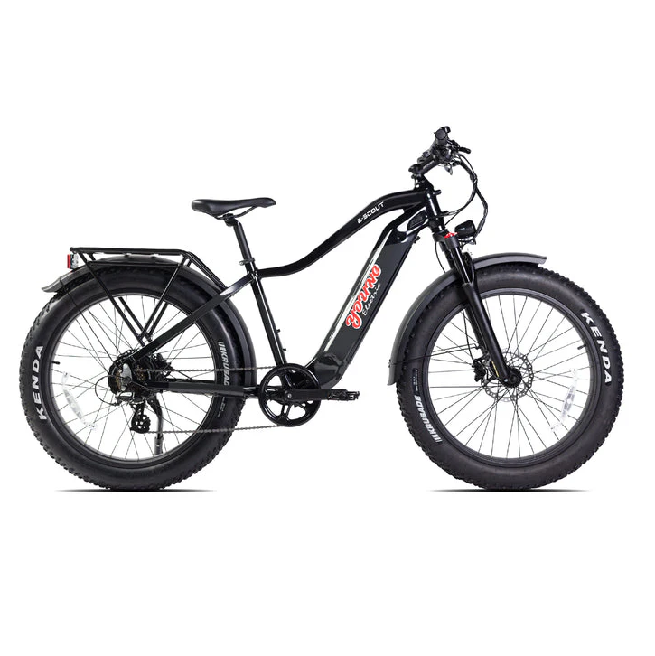 Electric Bike E-Joe E-Scout Black Right