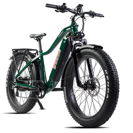 Electric Bike E-Joe E-Scout Green Right Front