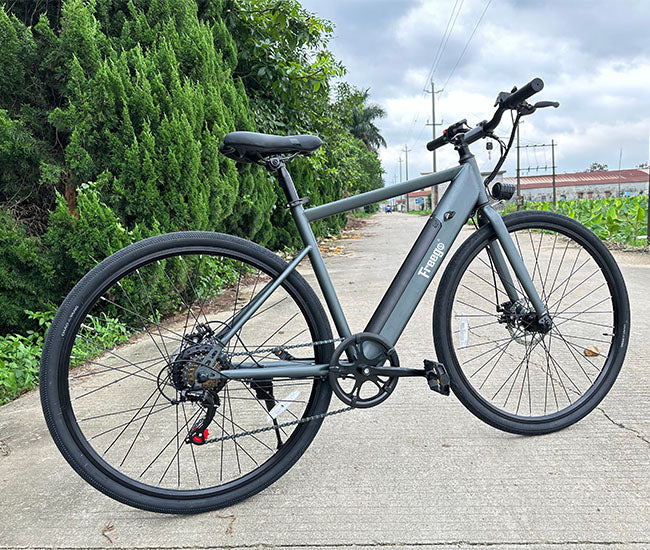 Electric Bike Freego E7 Frame