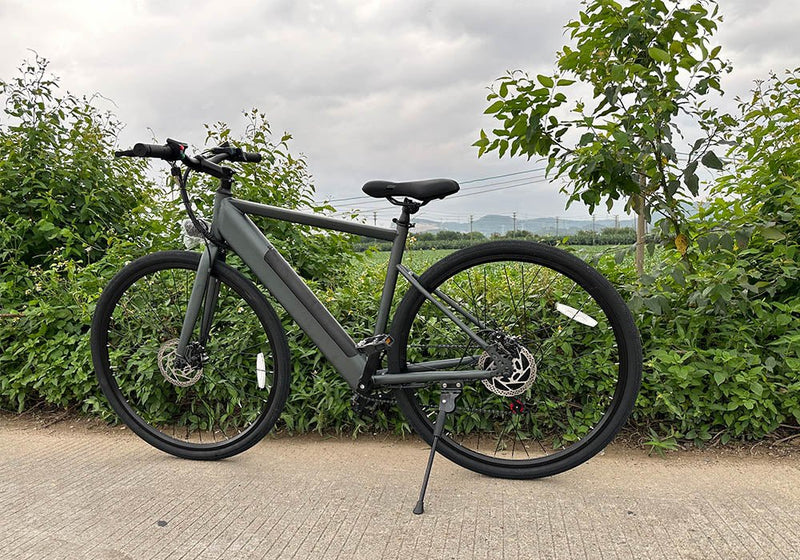 Electric Bike Freego E7 Road