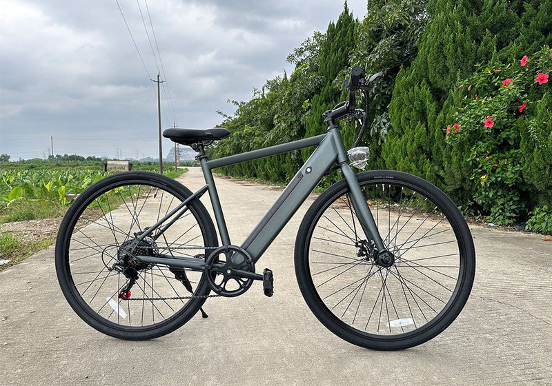 Electric Bike Freego E7 Road