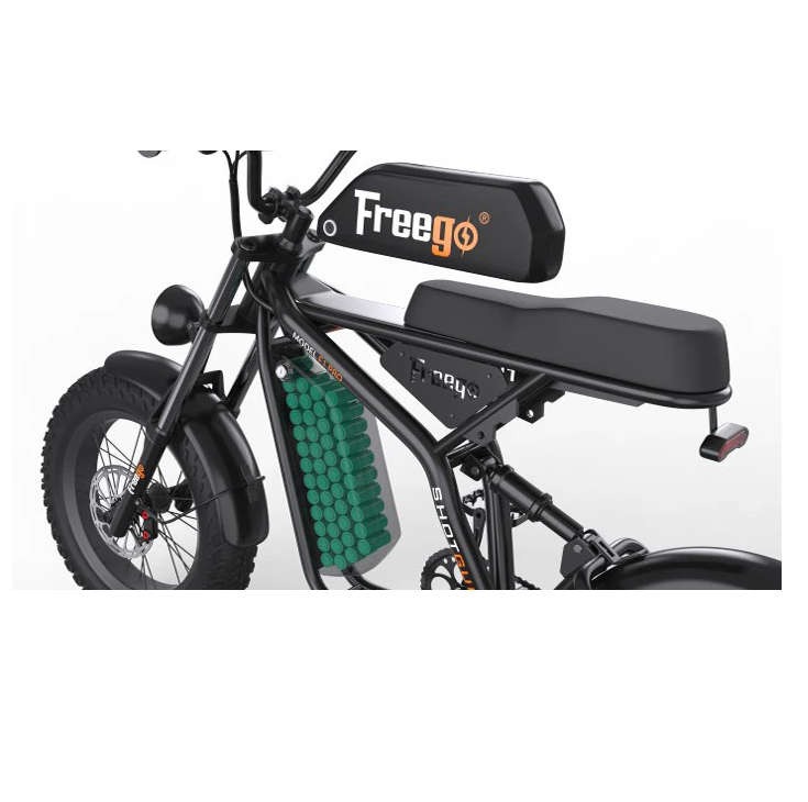 Electric Bike Freego F1 Battery