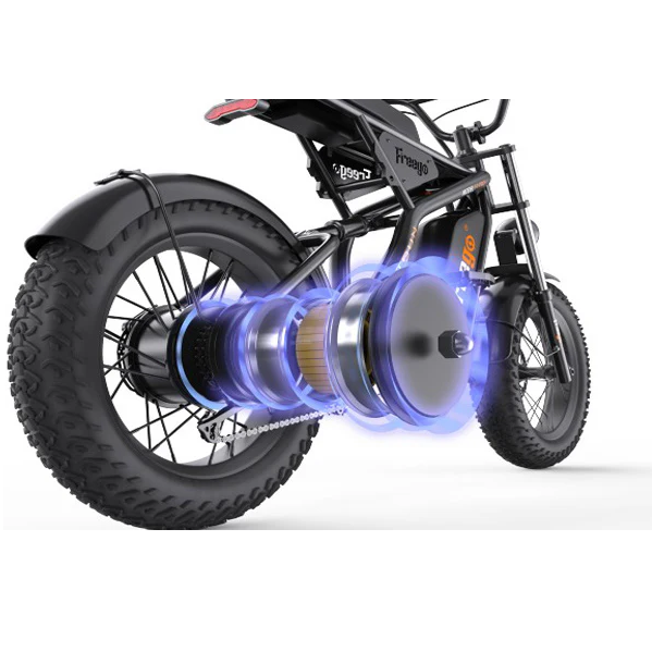 Electric Bike Freego F1 Motor