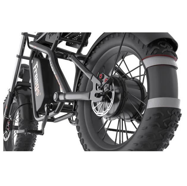 Electric Bike Freego F1 Tire