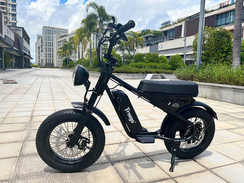 Electric Bike Freego M1 City