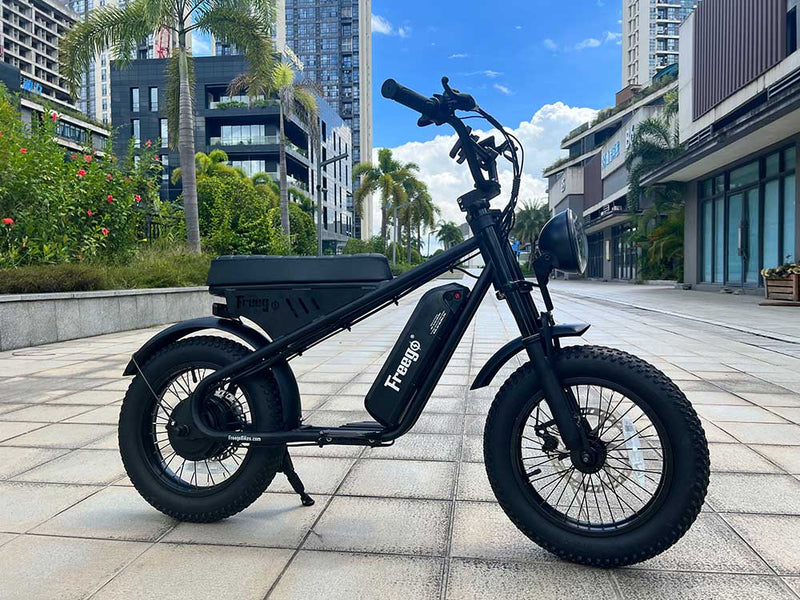 Electric Bike Freego M1 City