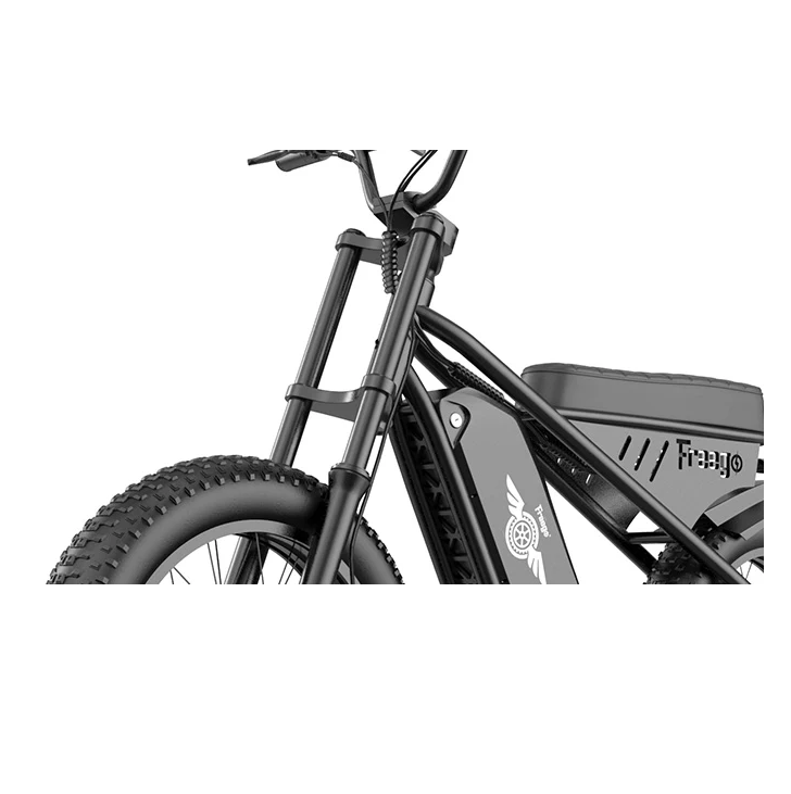 Electric Bike Freego M1 Fork