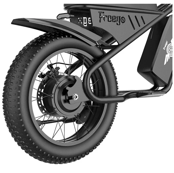 Electric Bike Freego M1 Motor