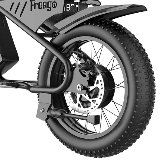 Electric Bike Freego M1 Tire