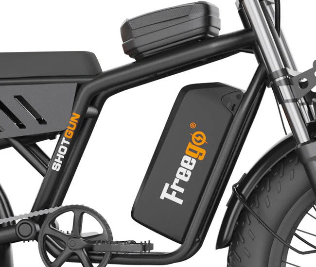 Electric Bike Freego FO Battery