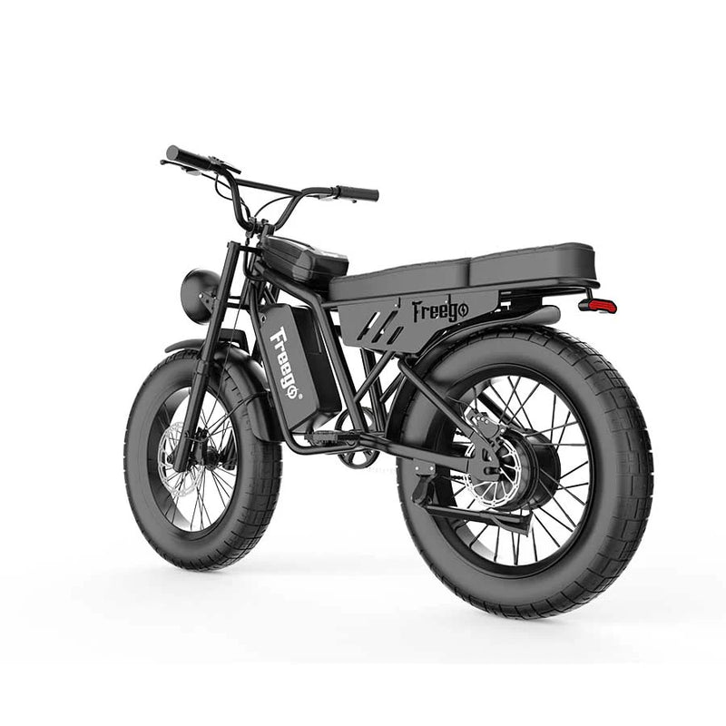 Electric Bike Freego FO Left Rear