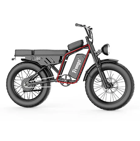 Electric Bike Freego FO Frame