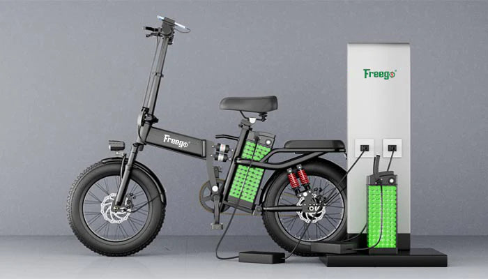 Electric Bike Freego T1 Battery