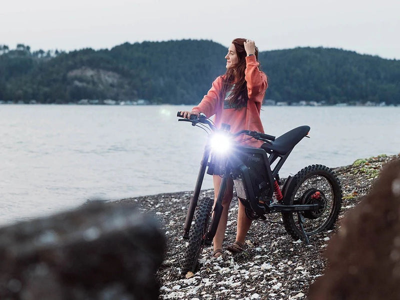 Electric Bike Freego X2 Lake