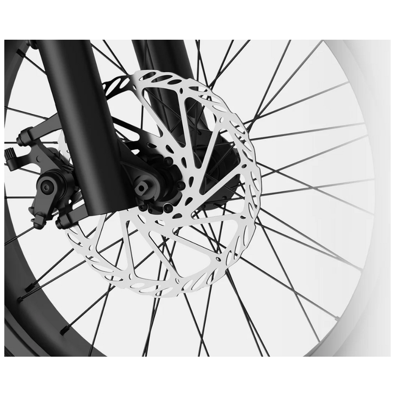 Electric Bike G-Force RS Brake