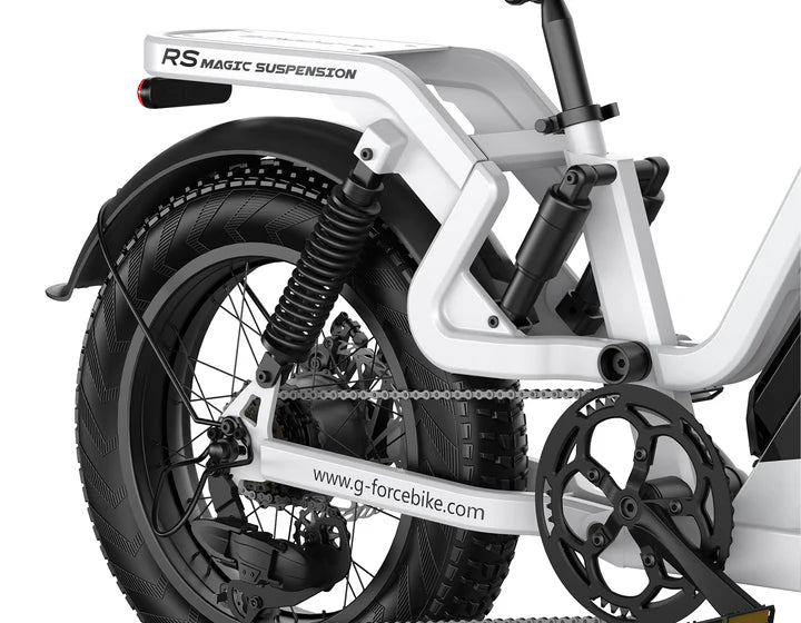 Electric Bike G-Force RS Chain